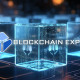 Что такое Blockchain Explorer. Как использовать блокчейн-обозреватель и поисковик