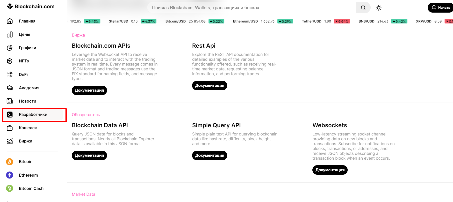 Страница Разработчики на Blockchain Explorer