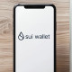 Обзор Sui Wallet: официальный кошелек криптовалюты Sui Network