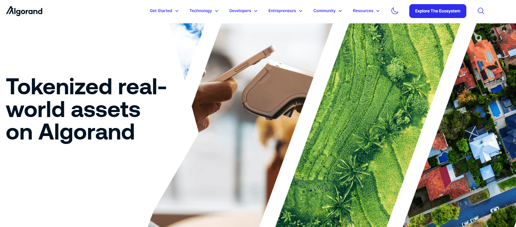 Сайт Algorand Foundation