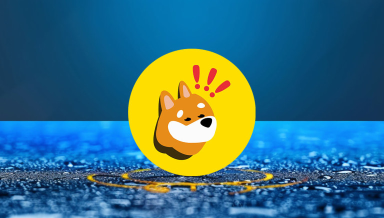 Криптовалюта BONK — лучший мем-токен сети Solana