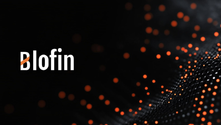 Обзор BloFin: инструменты, преимущества, регистрация и верификация