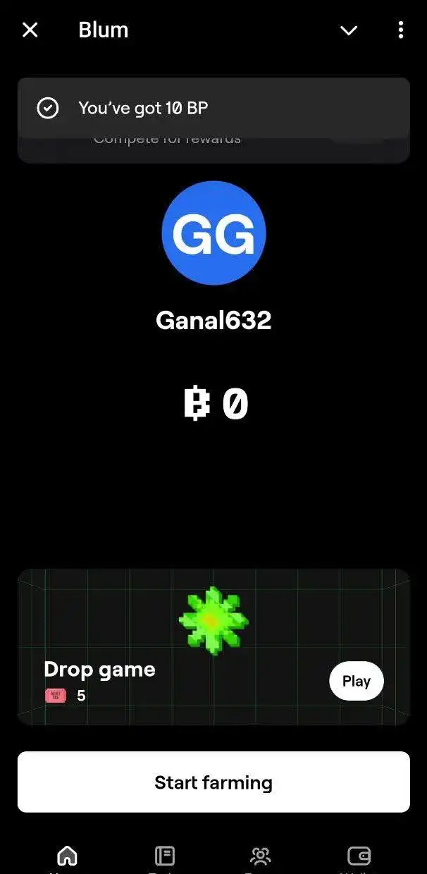 Как запустить Blum - 4